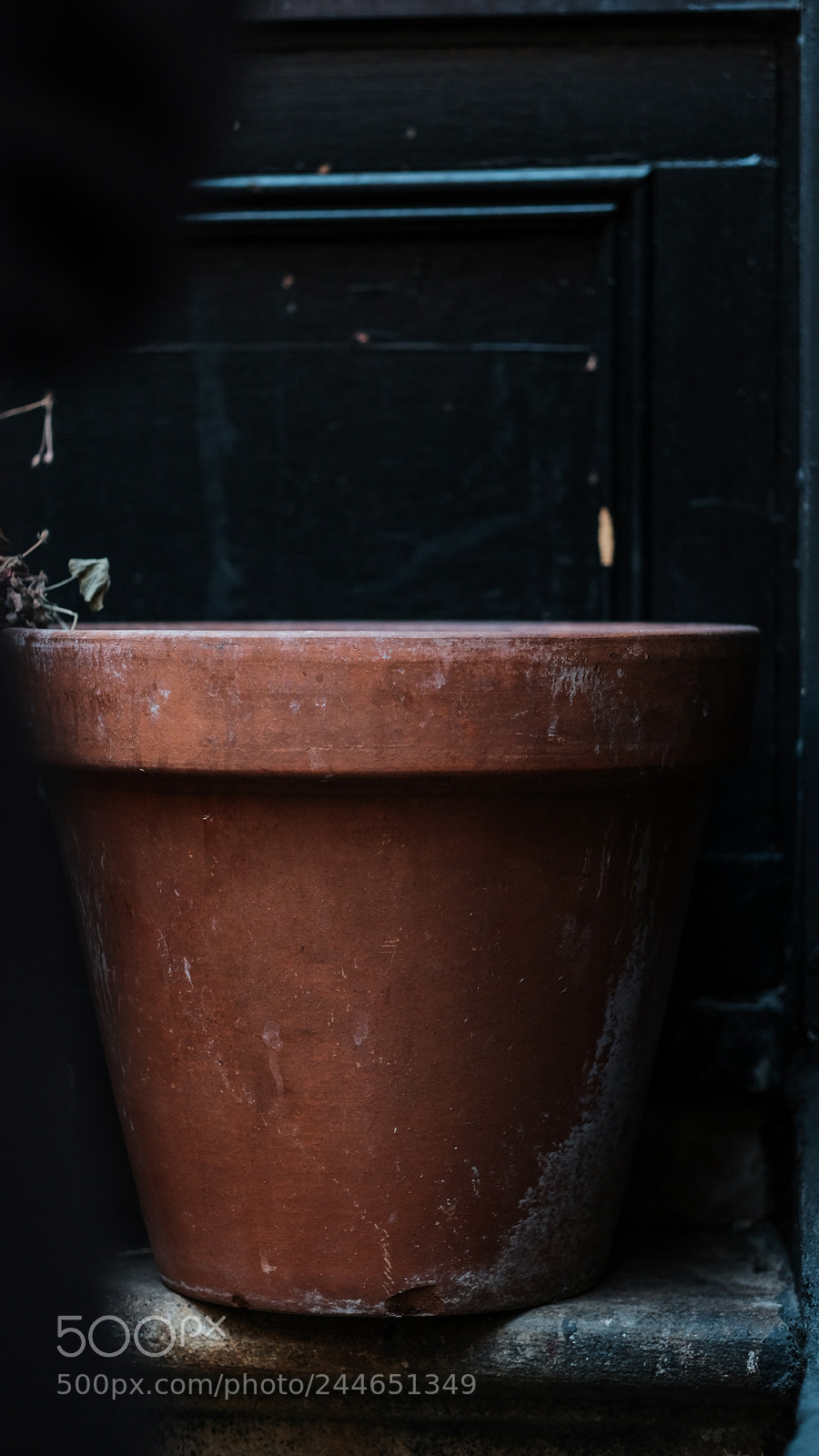Fujifilm X-T2 sample photo. Dark planter photography