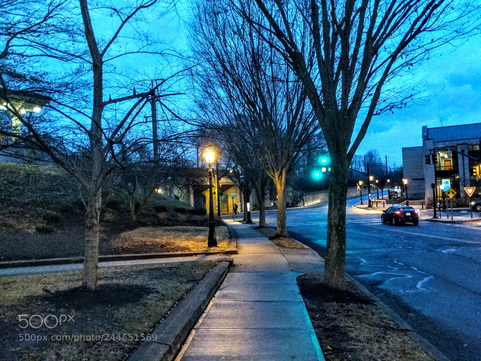 Google Pixel 2 sample photo. Untitled photography