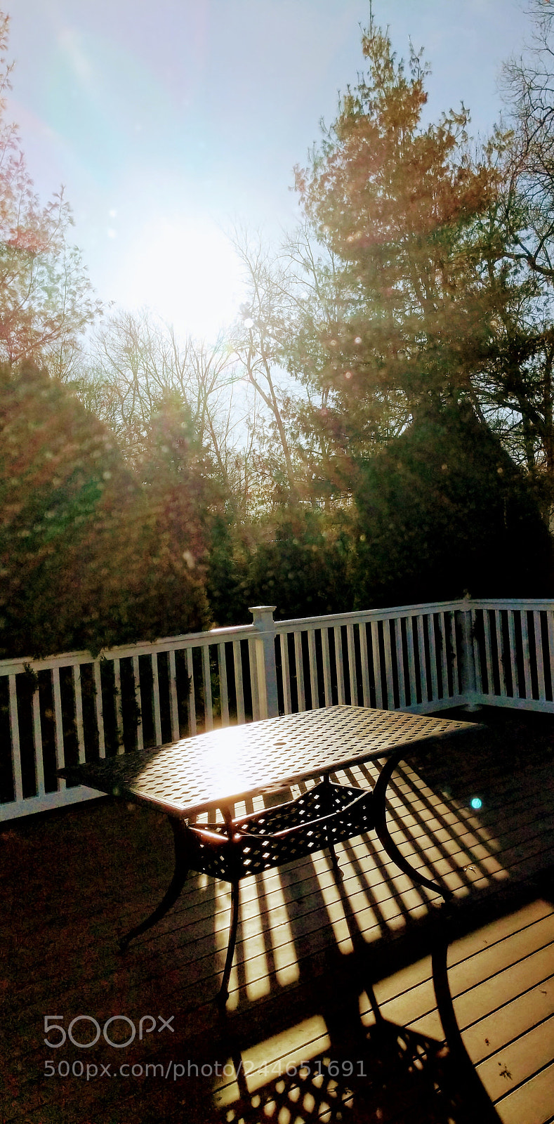 Google Pixel 2 sample photo. Untitled photography