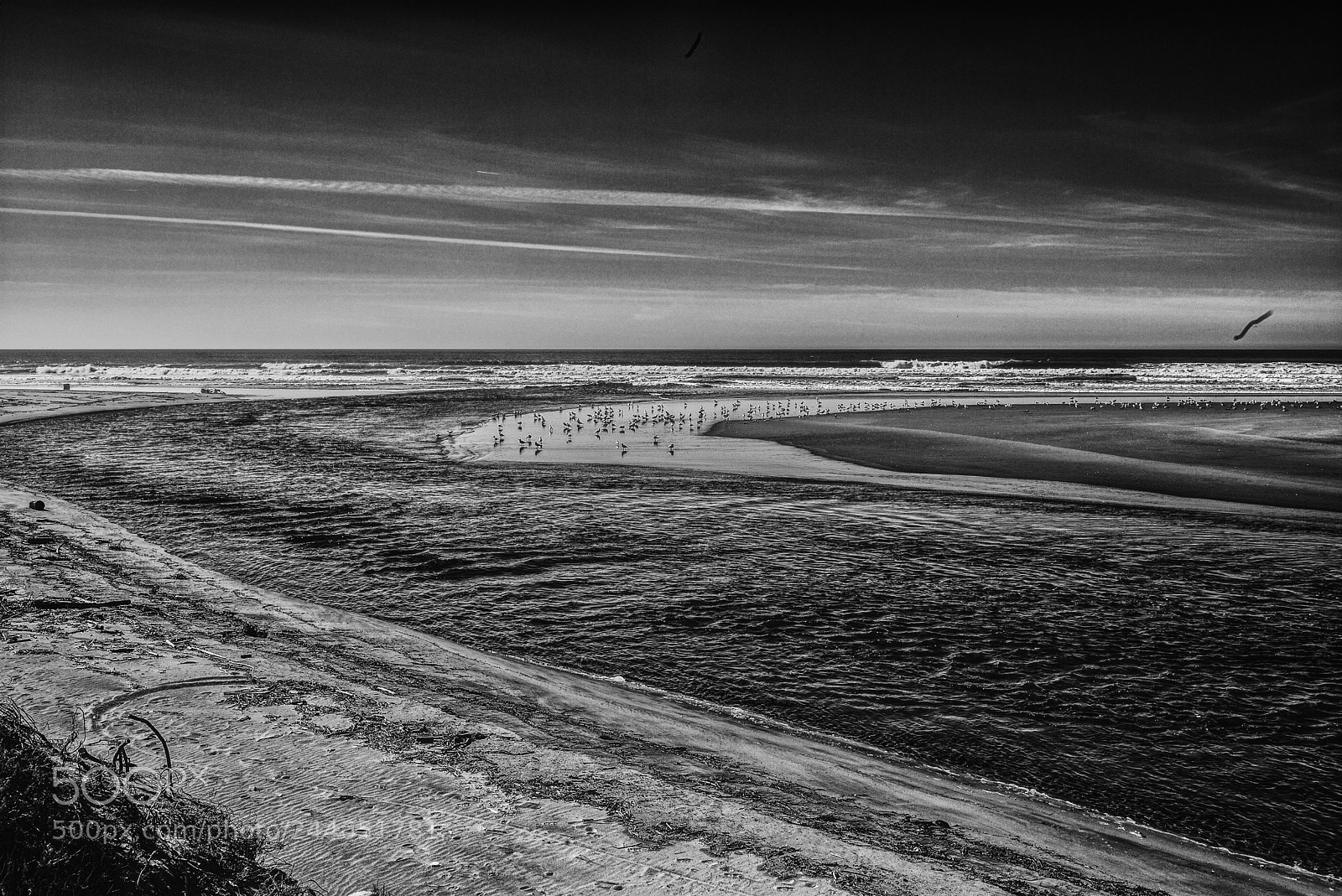 Leica M (Typ 240) sample photo. Navarro river at the photography