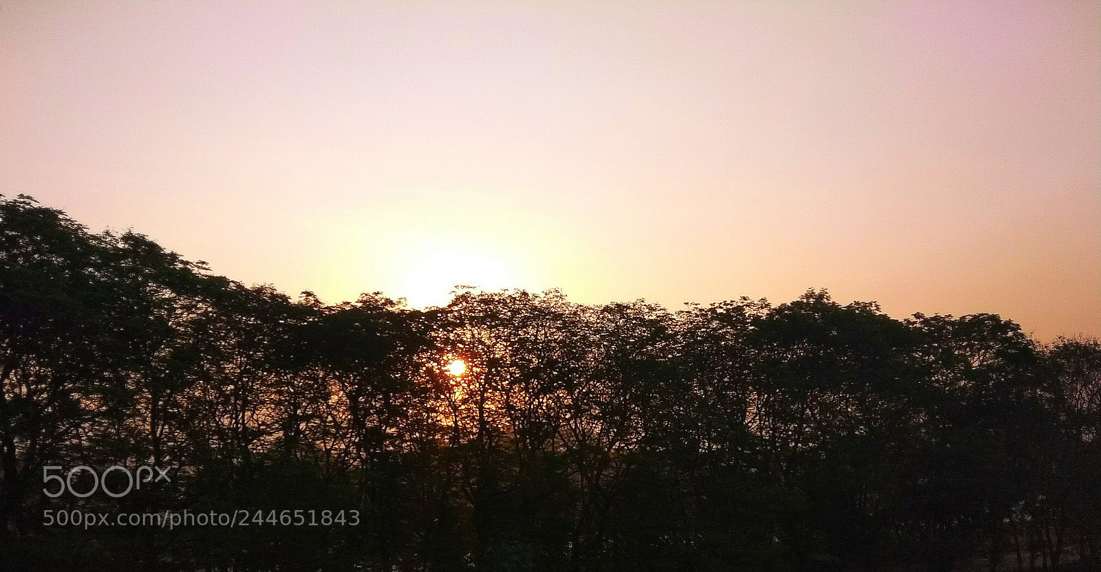 Xiaomi Redmi Note 5A sample photo. Untitled photography