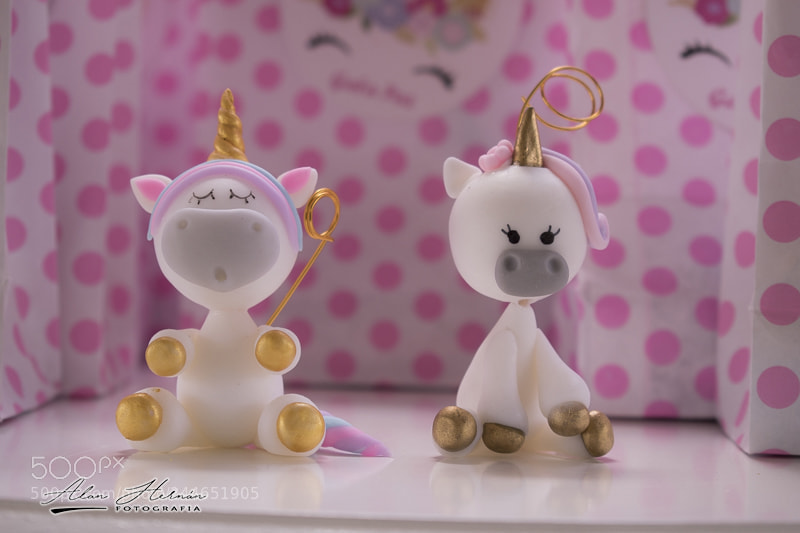 Nikon D5600 sample photo. 007.jpg photography