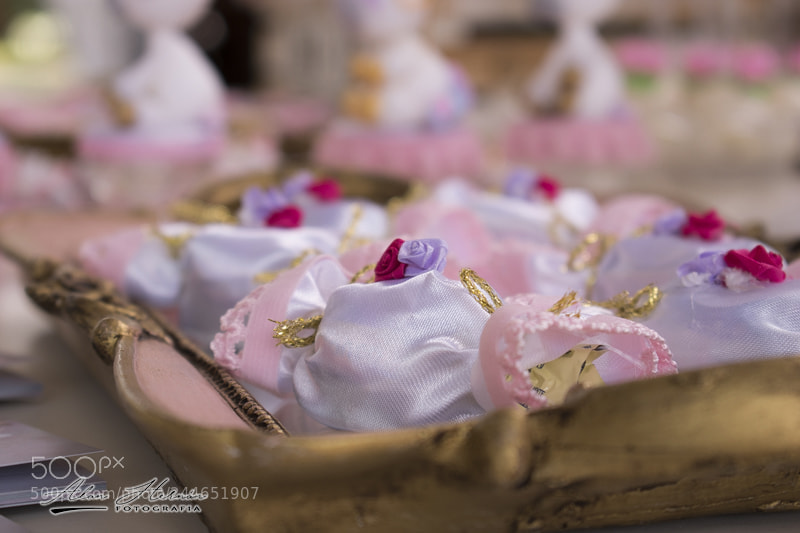 Nikon D5600 sample photo. 009.jpg photography