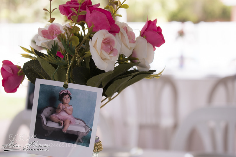 Nikon D5600 sample photo. 019.jpg photography