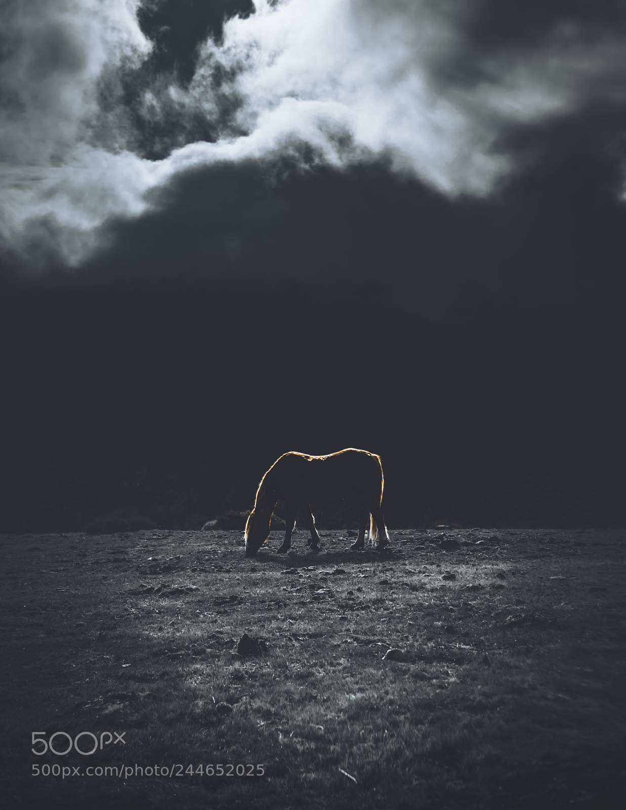 Sony a7 sample photo. Dark photography