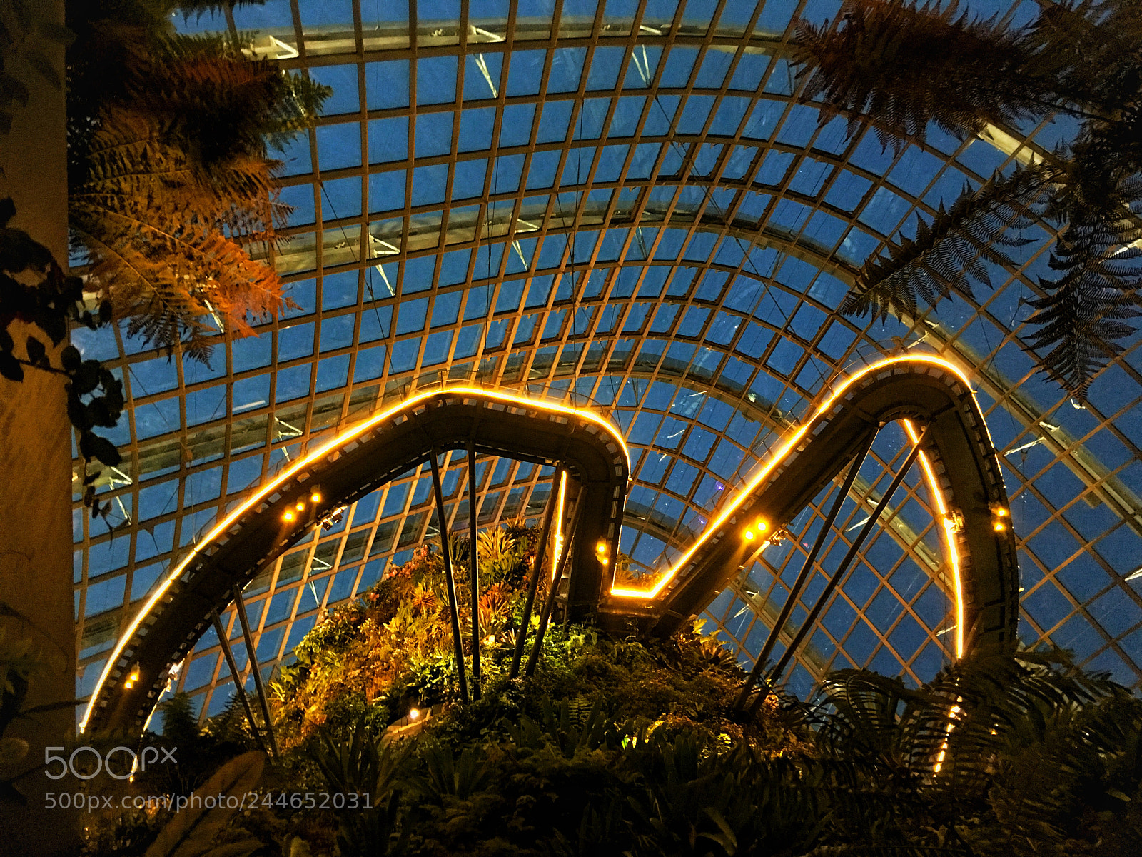 Apple iPhone 6s Plus sample photo. Cloud forest, singapore photography