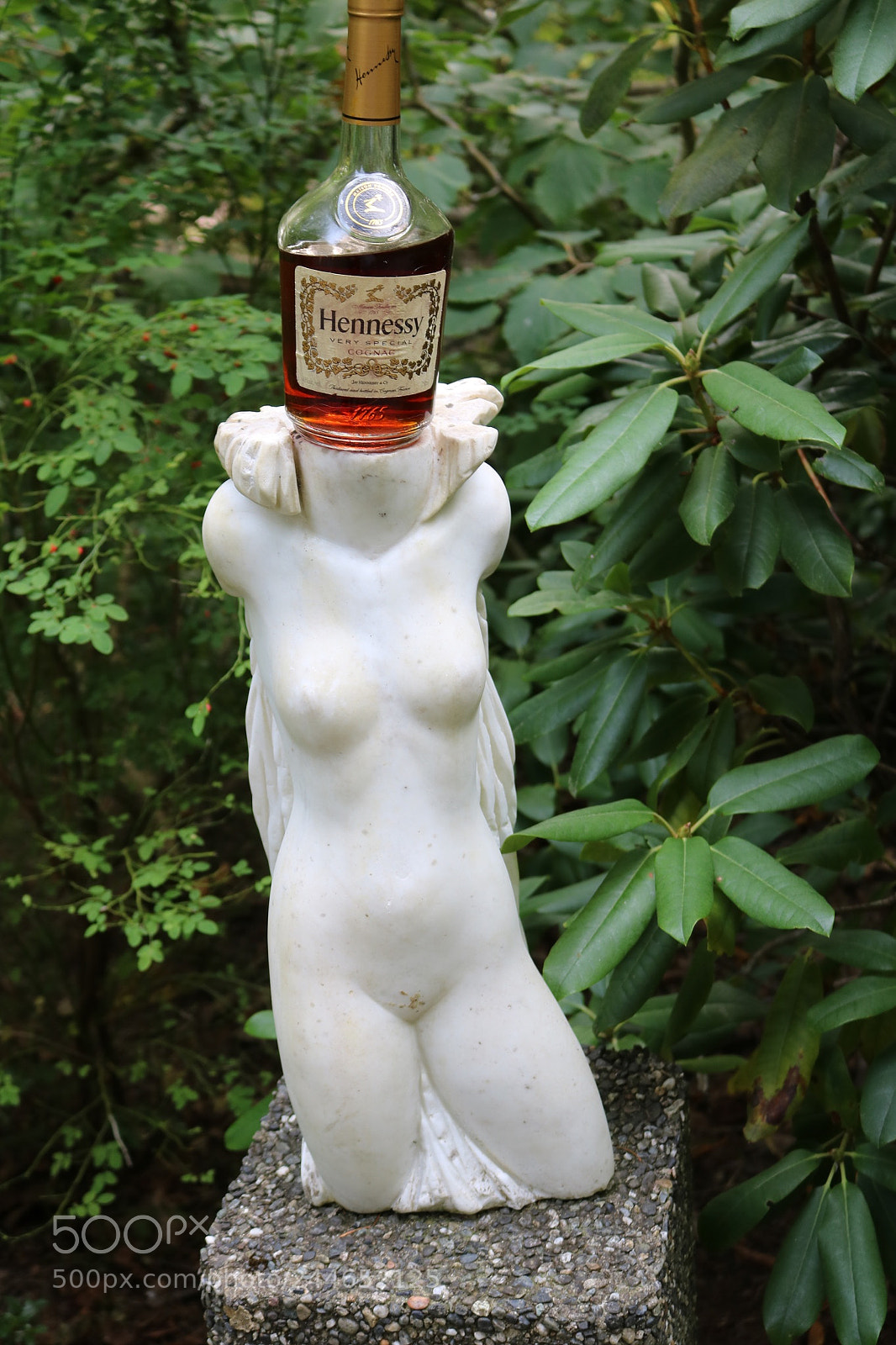 Canon EOS 750D (EOS Rebel T6i / EOS Kiss X8i) sample photo. Hennessy to a sculpture photography