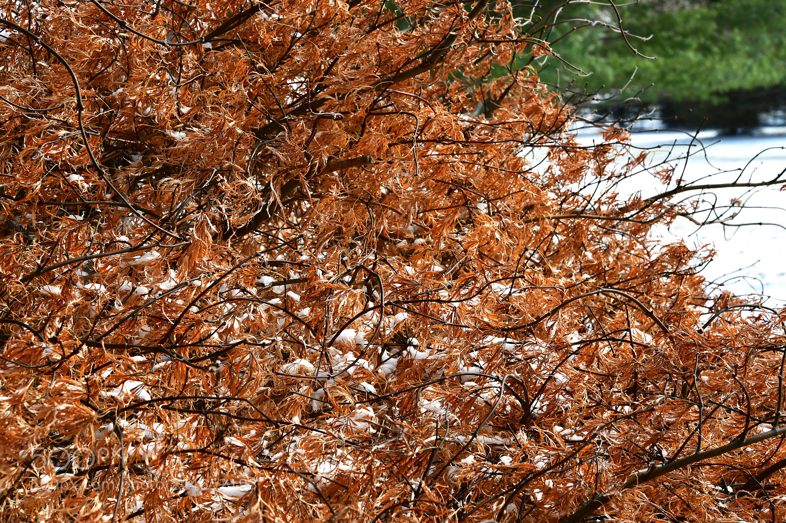 Nikon D7500 sample photo. Seasons change photography