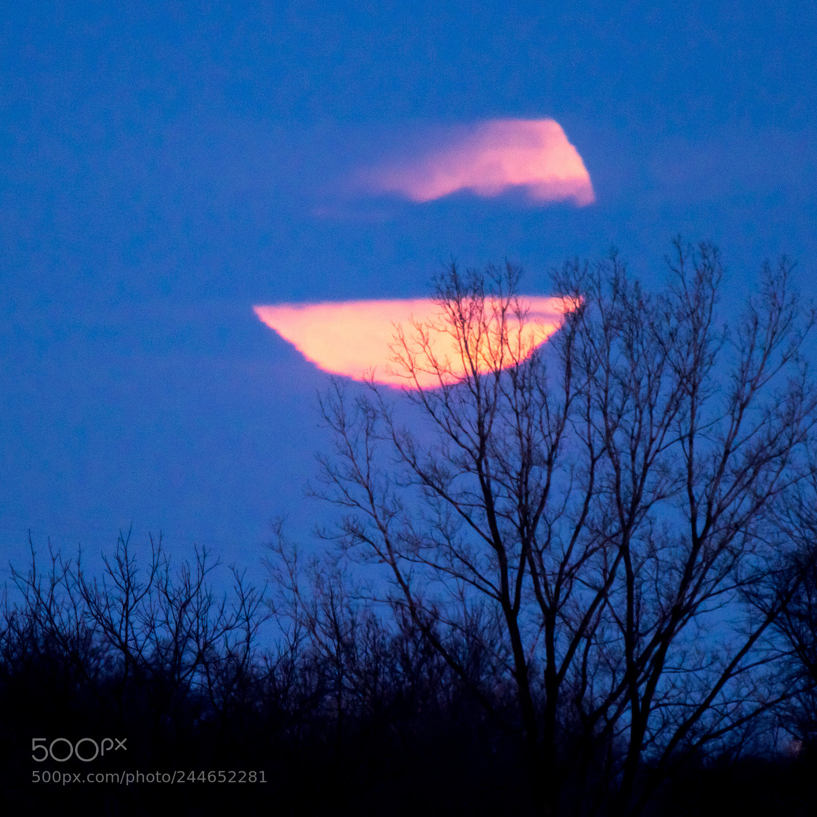 Nikon D810 sample photo. Super, eclipsed, blue moon photography