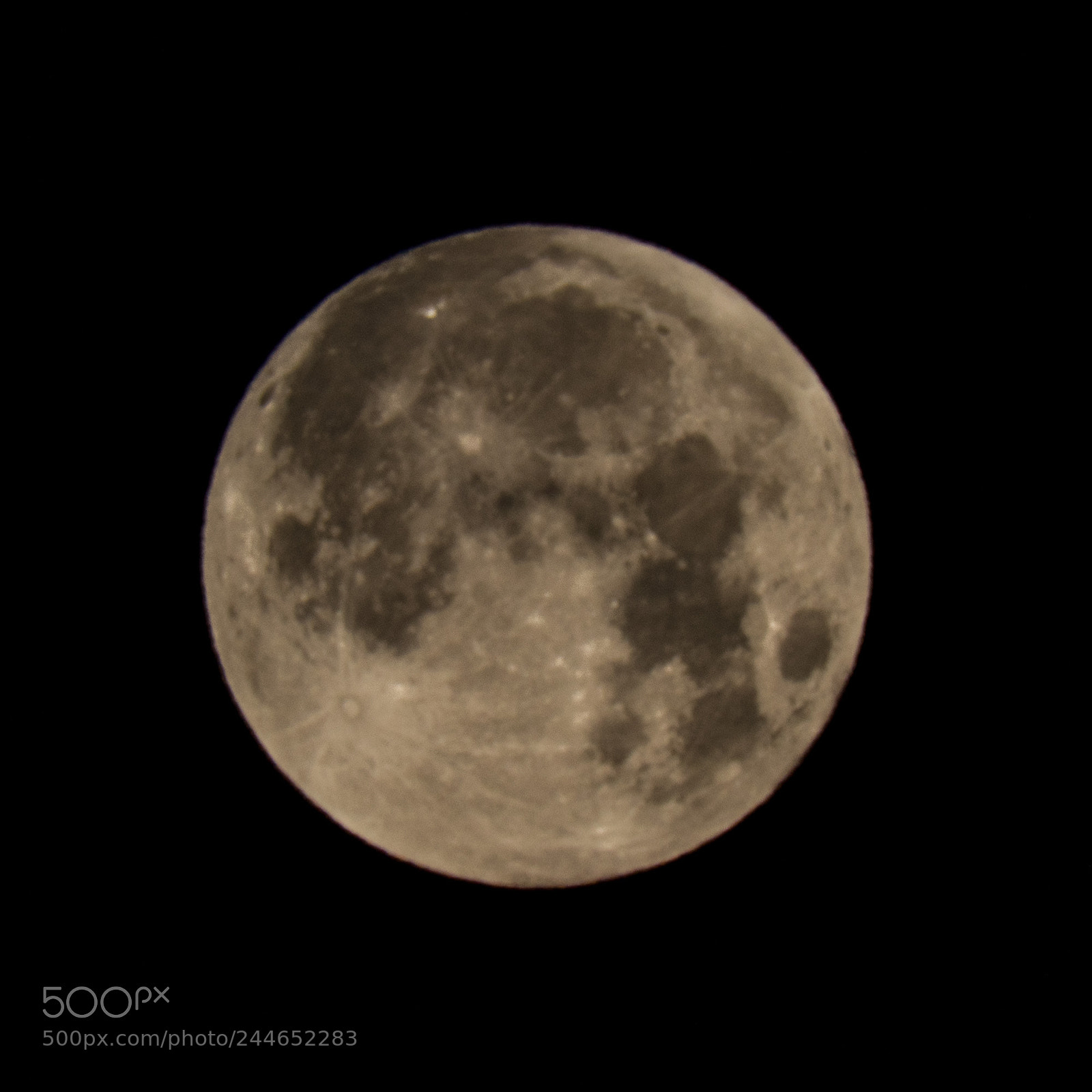 Nikon D810 sample photo. Super, eclipsed, blue moon photography