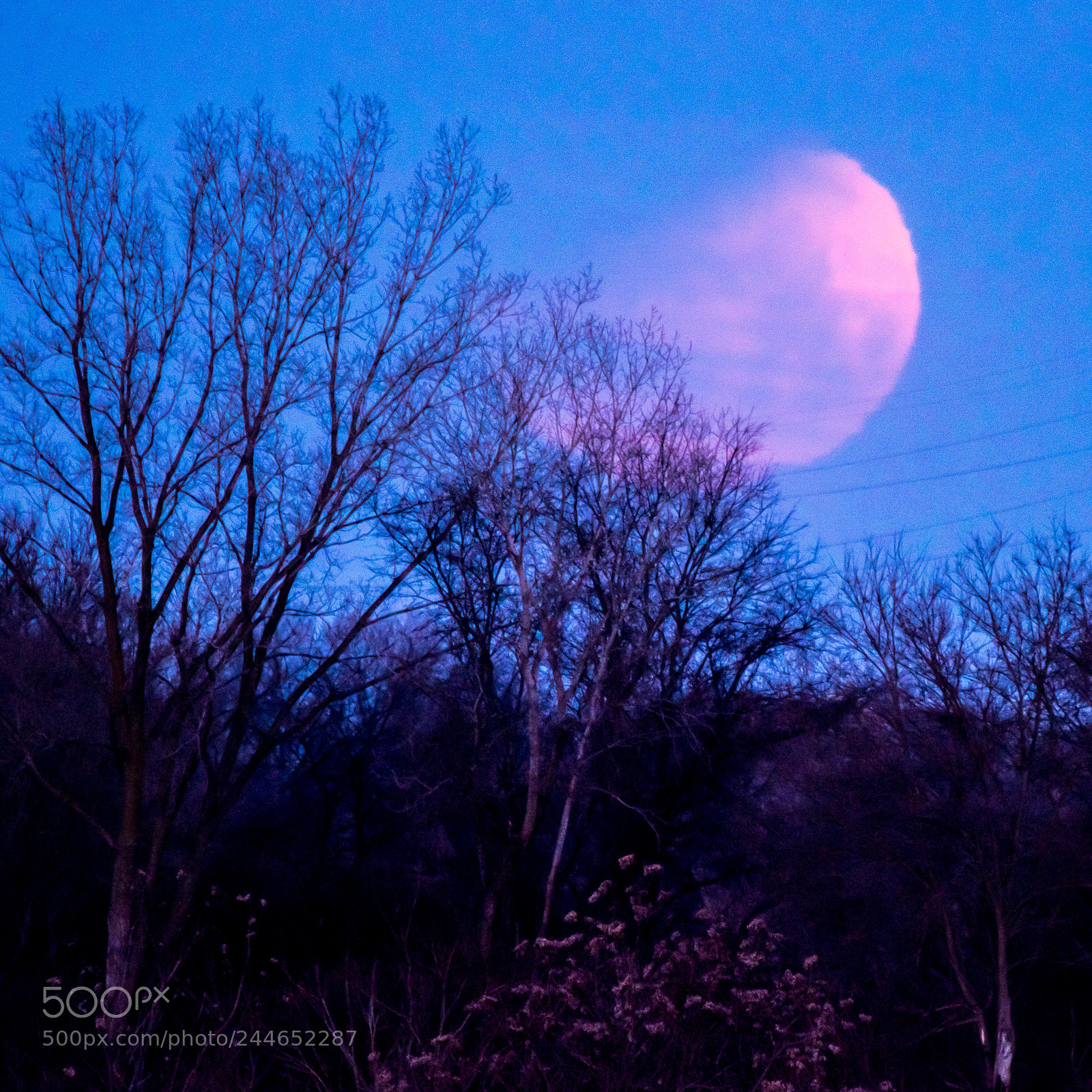 Nikon D810 sample photo. Super, eclipsed, blue moon photography