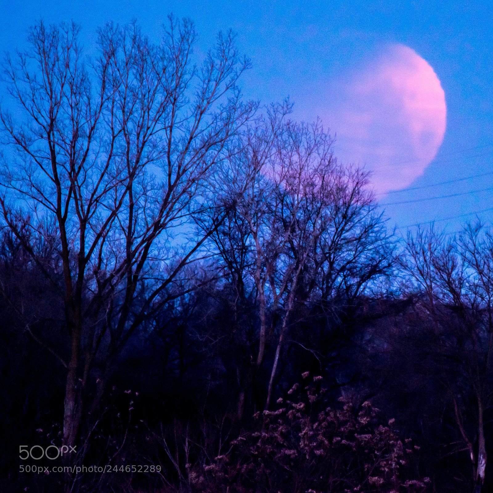 Nikon D810 sample photo. Super, eclipsed, blue moon photography