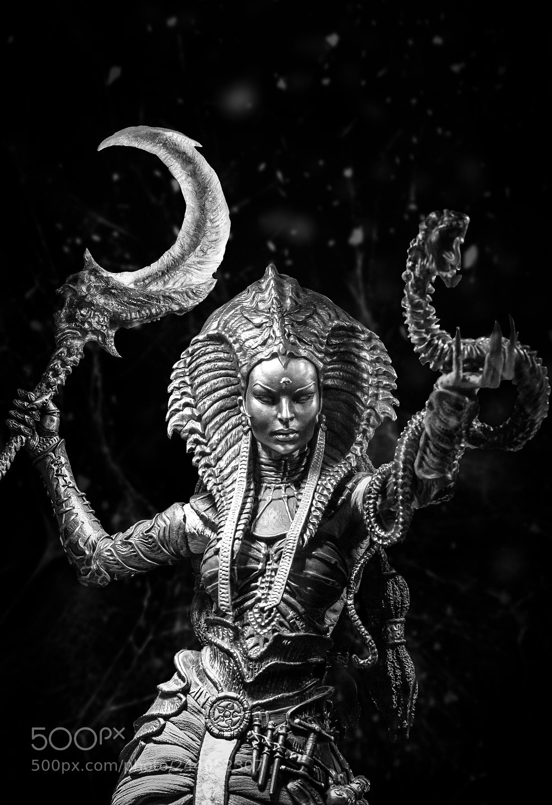 Nikon D7100 sample photo. Cleopsis eater of the photography