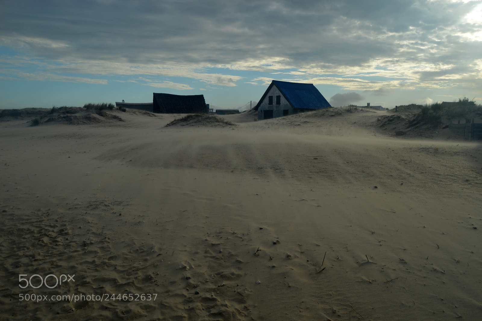 Nikon D3200 sample photo. Sand wind photography