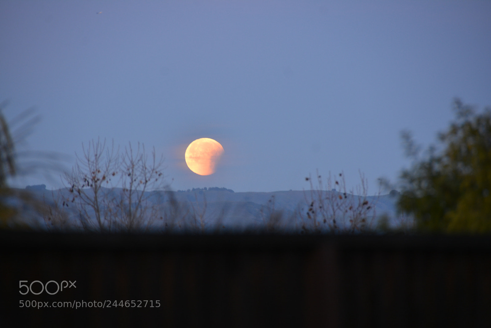 Nikon D7100 sample photo. The super blue blood photography