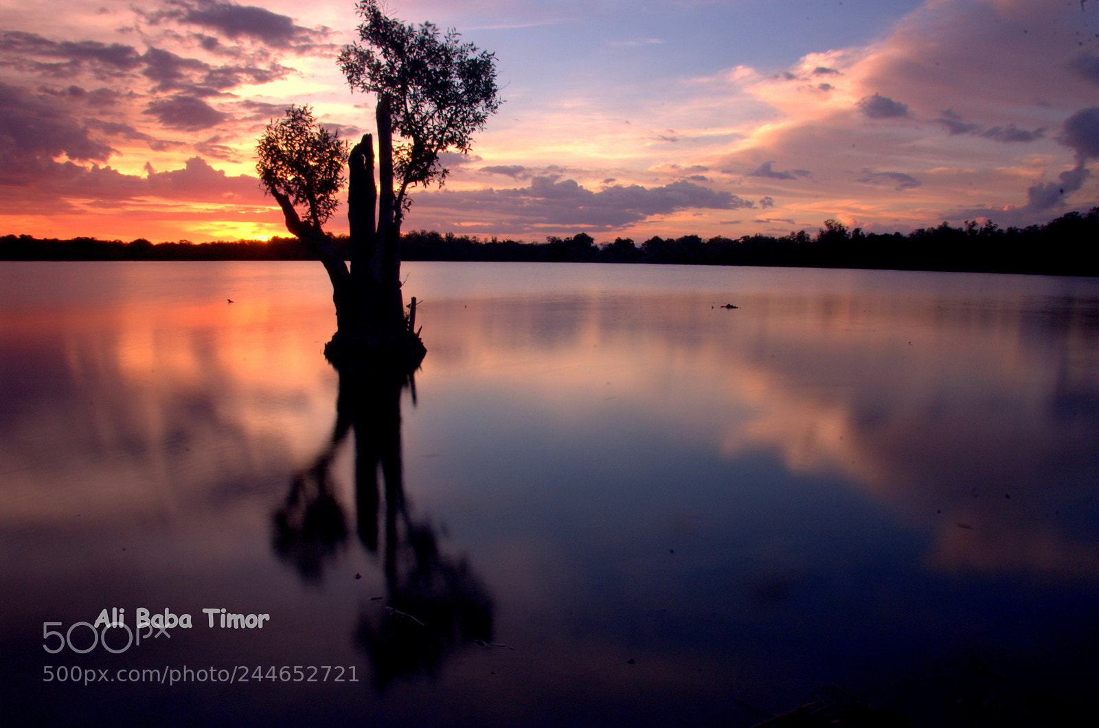 Nikon D70s sample photo. Reflection photography