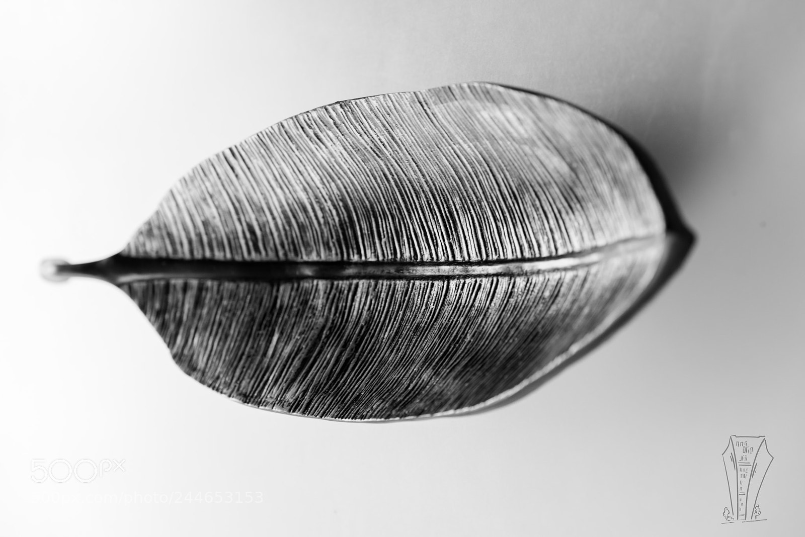 Nikon D810 sample photo. Leaf in focus photography