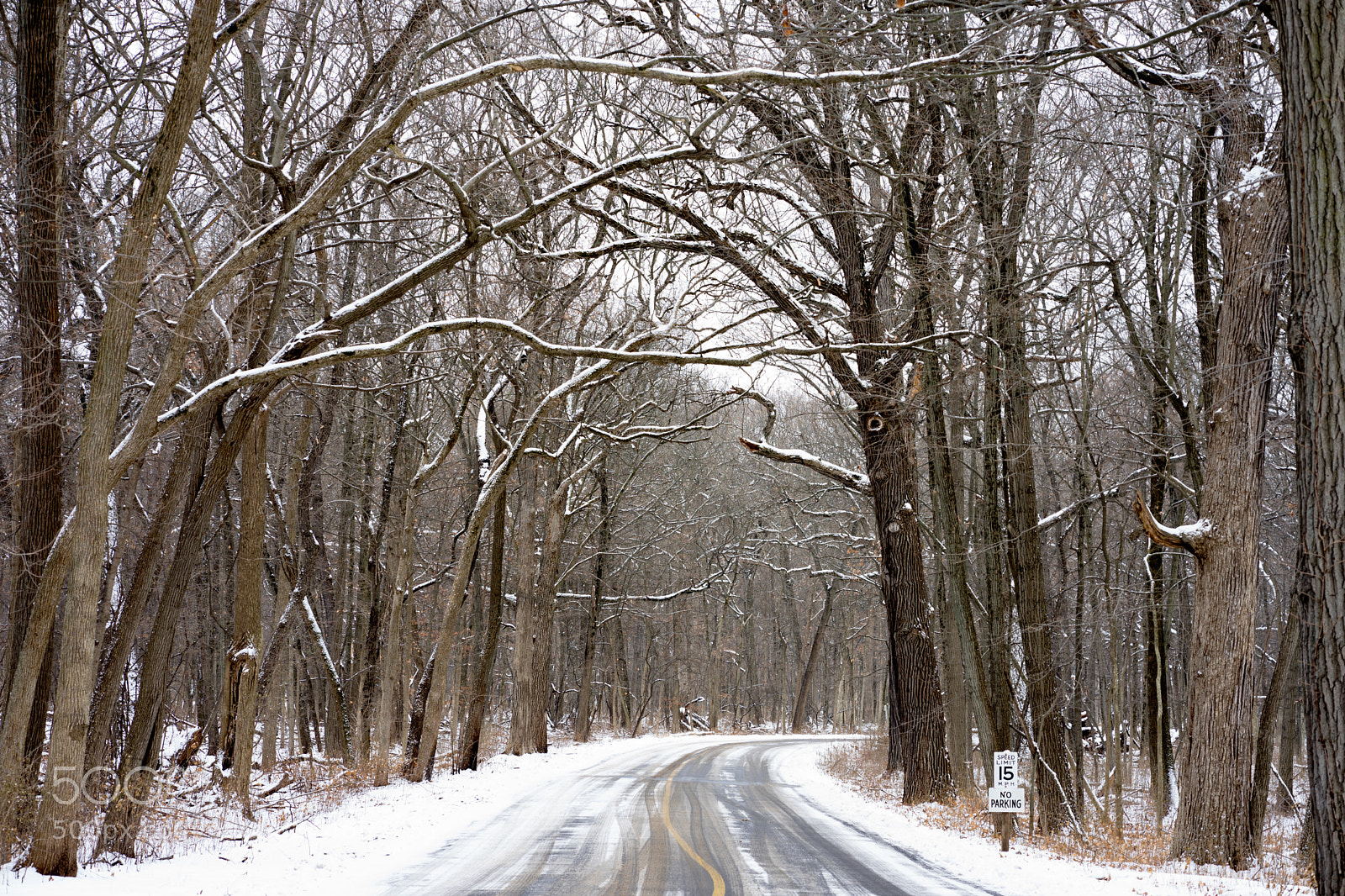 Sony a7 II sample photo. Winter! photography