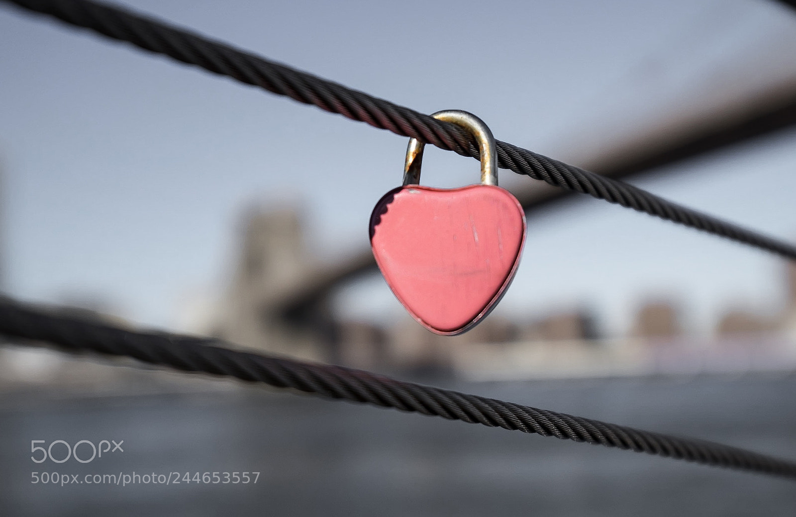 Fujifilm X-T1 sample photo. Untitled photography