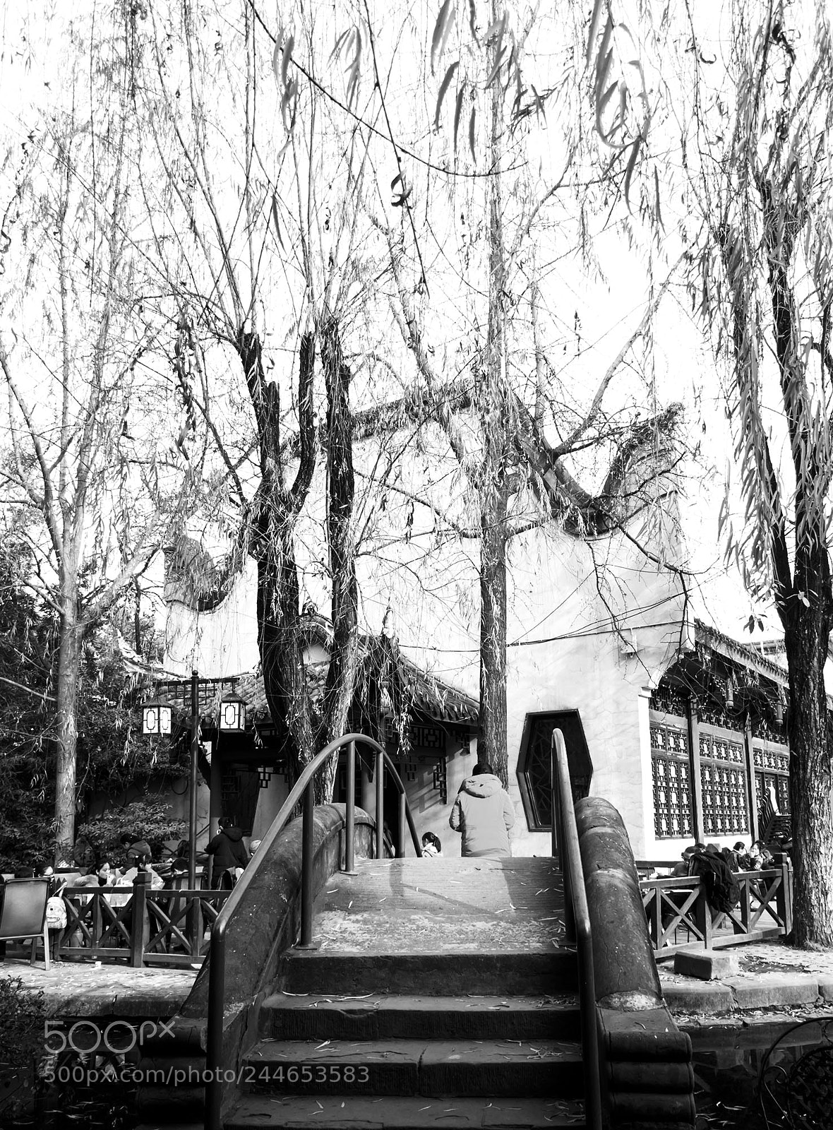 Canon PowerShot G12 sample photo. Baihua tan garden in photography