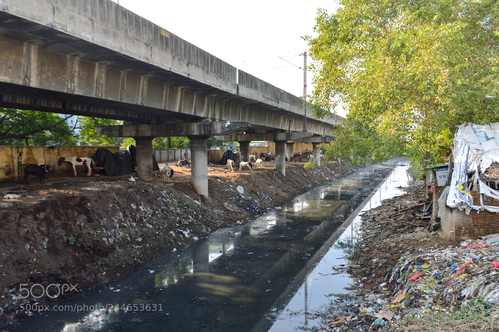 Nikon D3200 sample photo. Open sewer photography