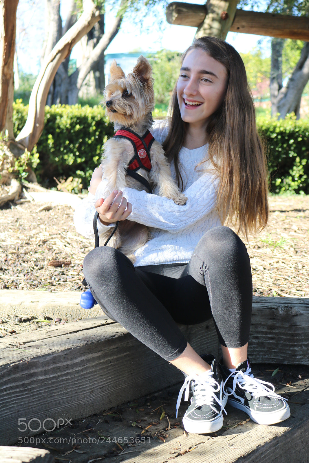 Canon EOS 750D (EOS Rebel T6i / EOS Kiss X8i) sample photo. Dogs and laughs photography