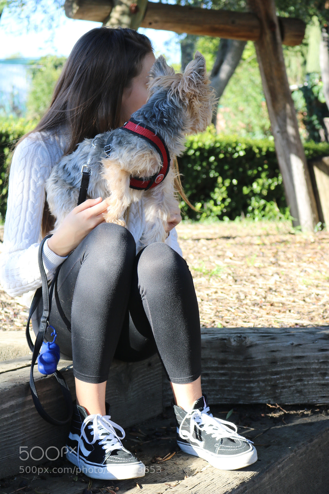 Canon EOS 750D (EOS Rebel T6i / EOS Kiss X8i) sample photo. Distant looks photography