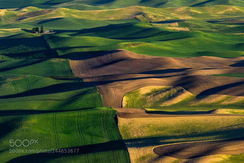 Nikon D810 sample photo. Palouse photography