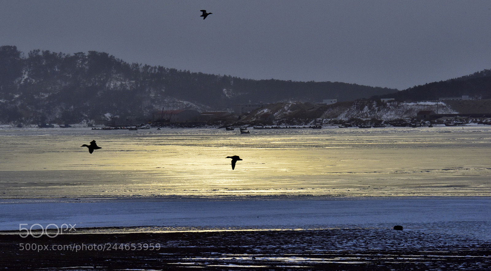 Nikon D810 sample photo. Untitled photography