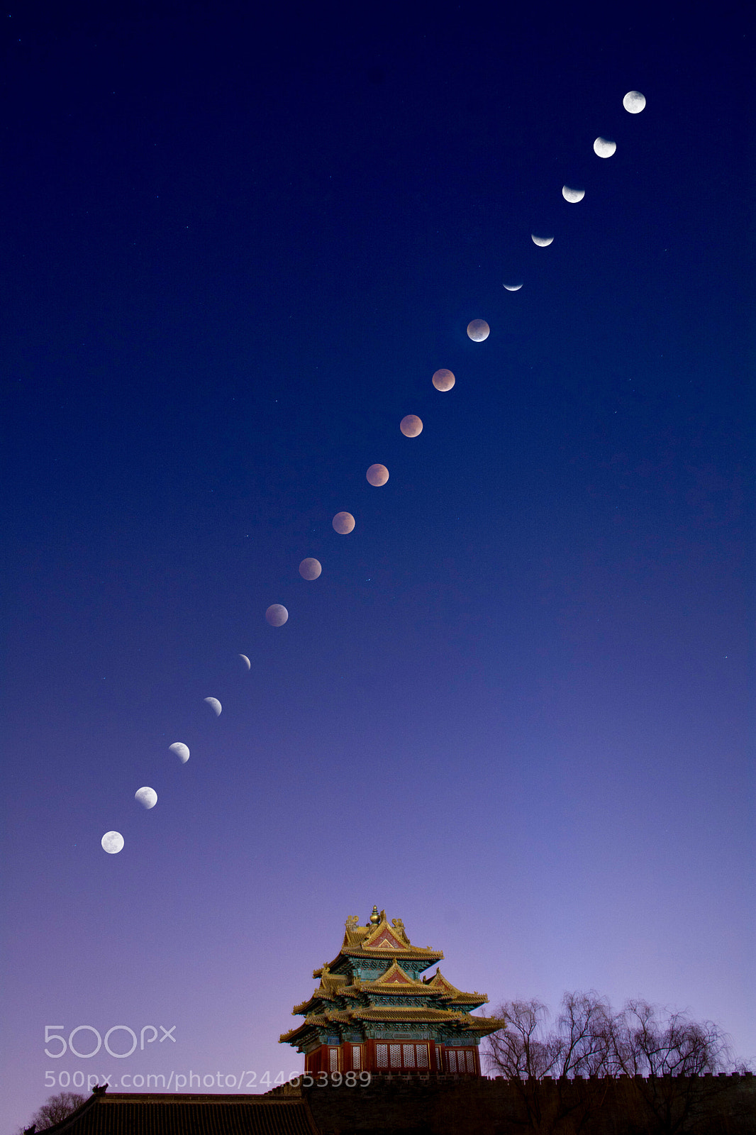 Nikon D7100 sample photo. Blood moon above the photography