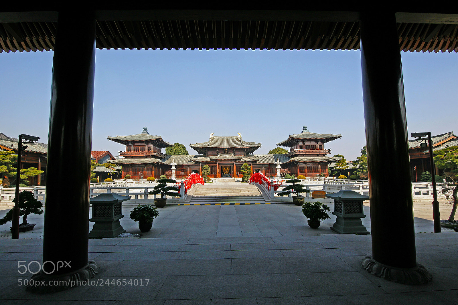 Canon EOS-1Ds Mark II sample photo. Untitled photography