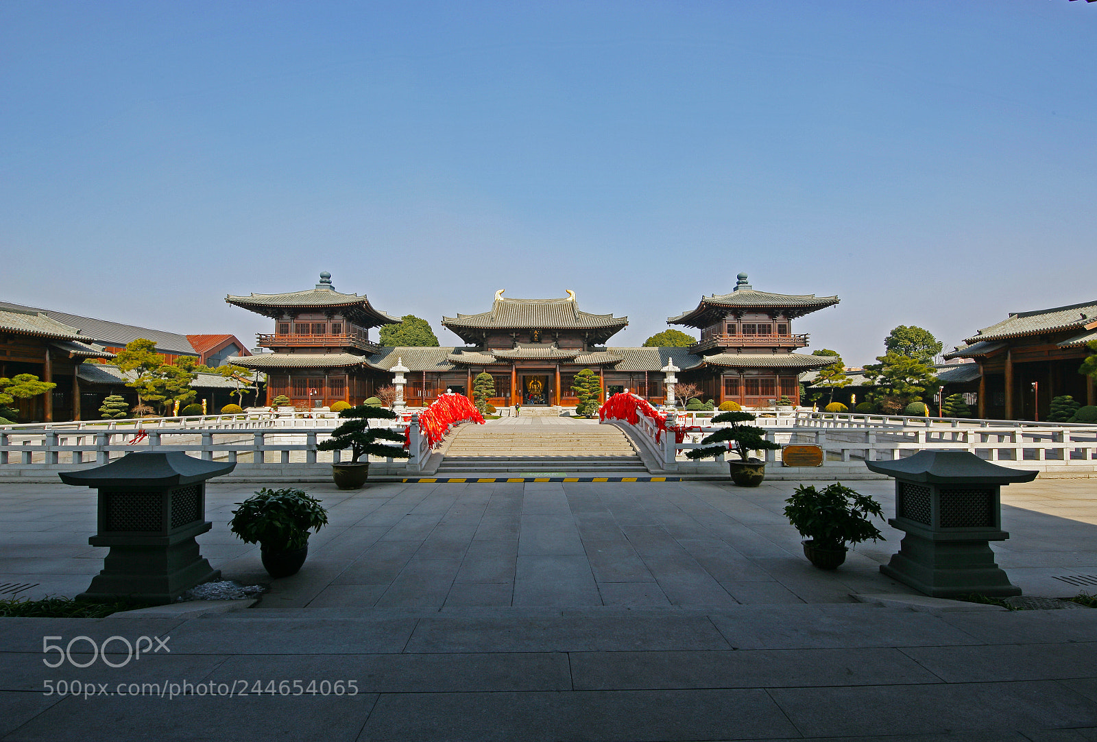Canon EOS-1Ds Mark II sample photo. Untitled photography