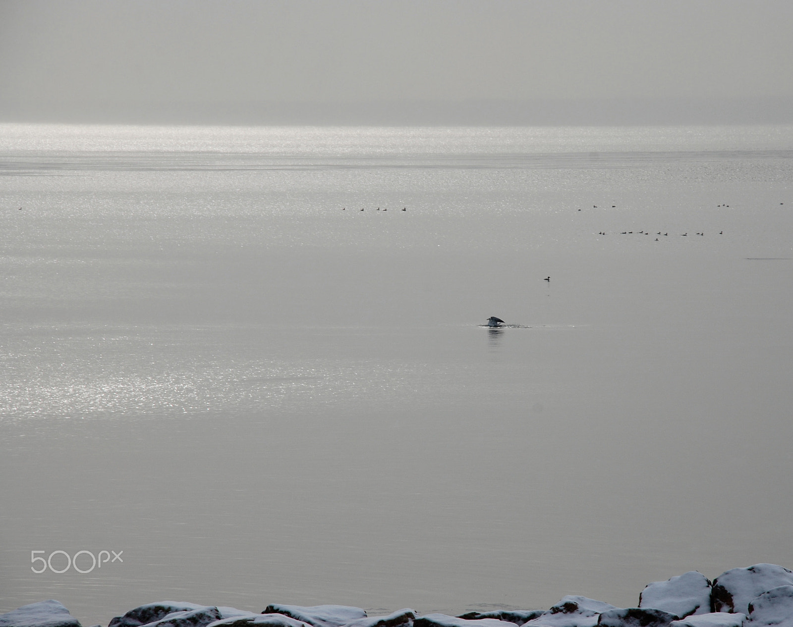 Nikon D60 sample photo. Peaceful morning photography