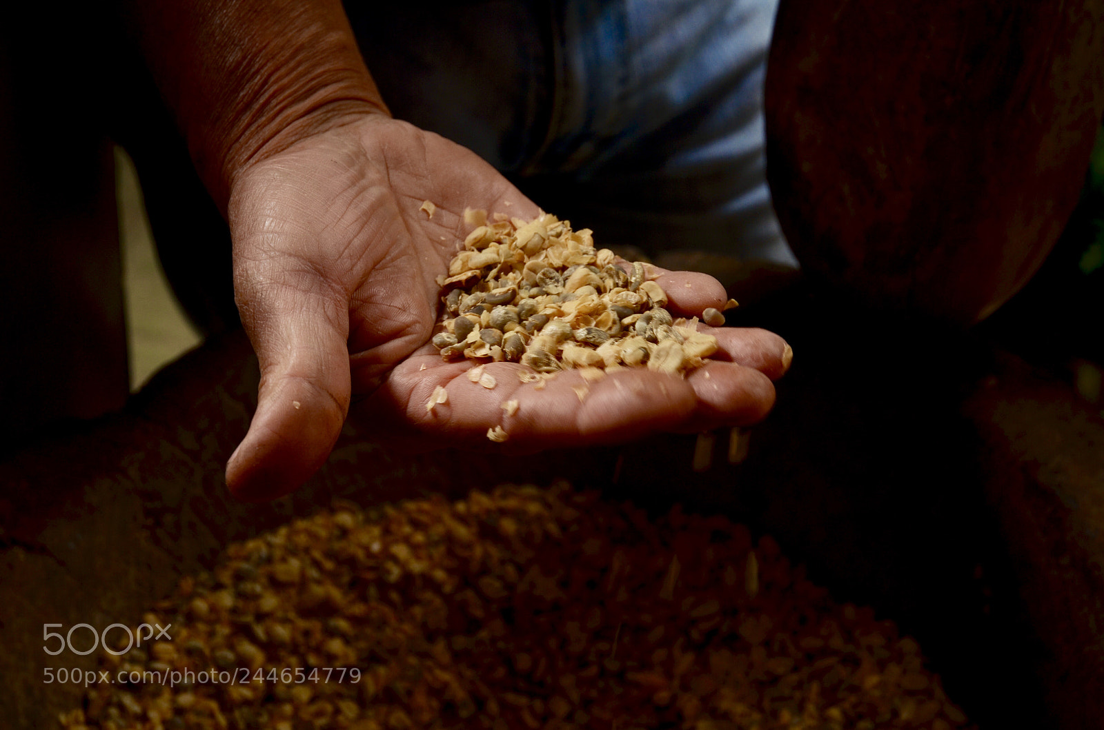 Nikon D5100 sample photo. Hand with coffe beans photography