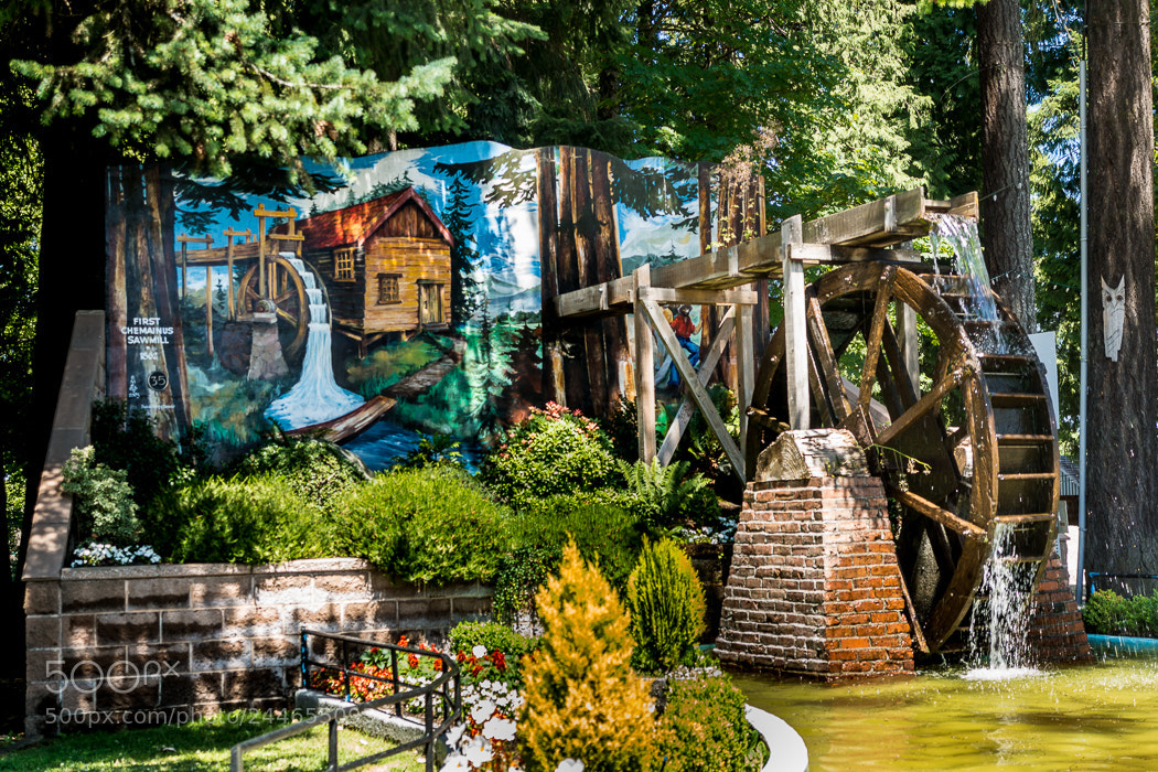 Sony SLT-A65 (SLT-A65V) sample photo. Parque waterwheel. photography