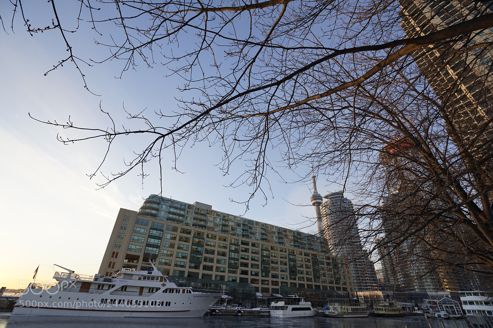 Sony a7 II sample photo. Toronto photography