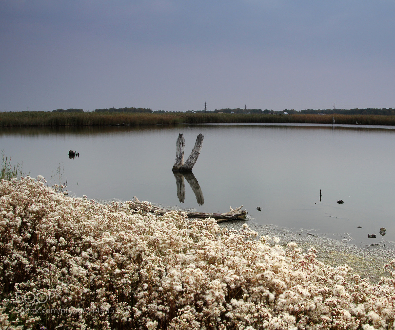 Canon EOS 60D sample photo. К photography