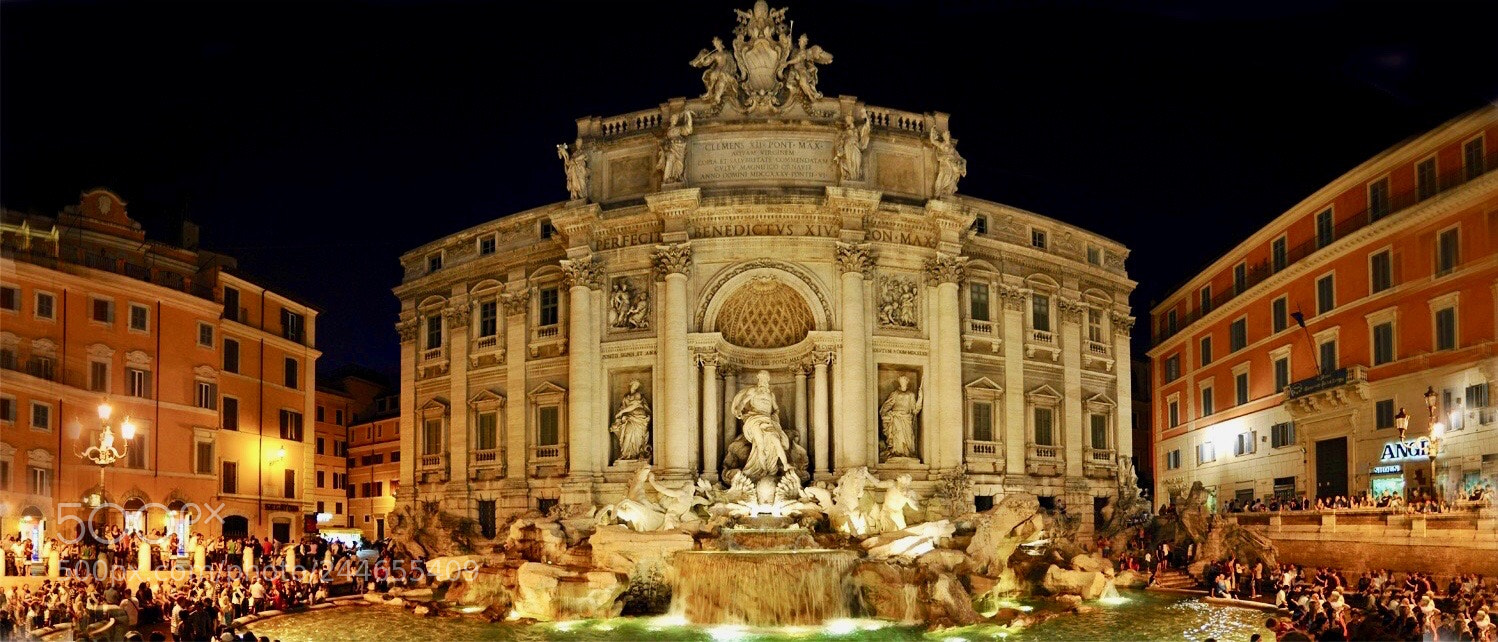Nikon D700 sample photo. Trevi fountain photography