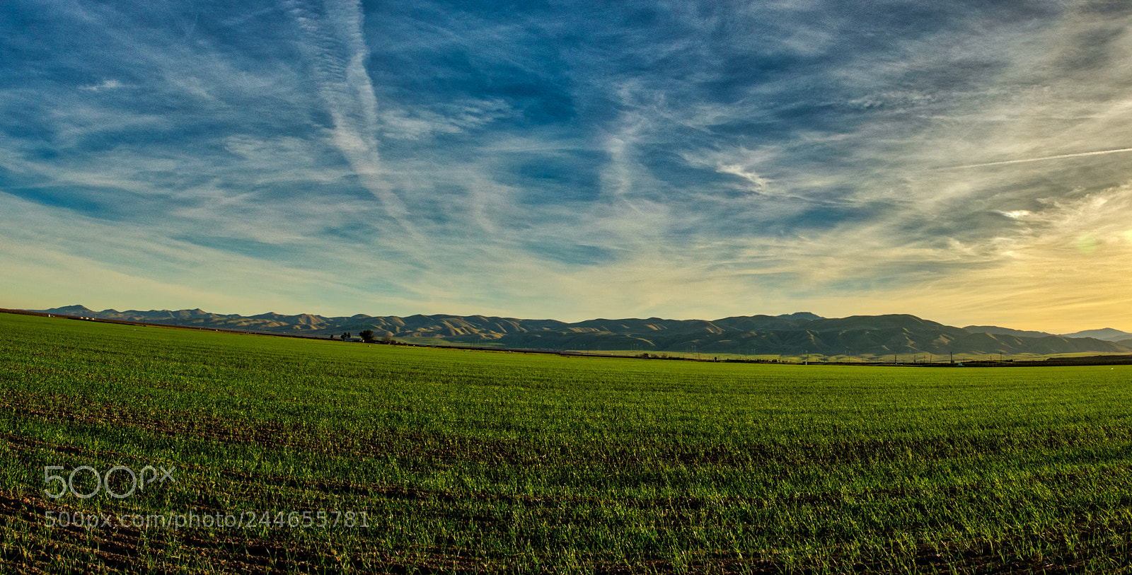 Pentax K-3 II sample photo. Field of light photography