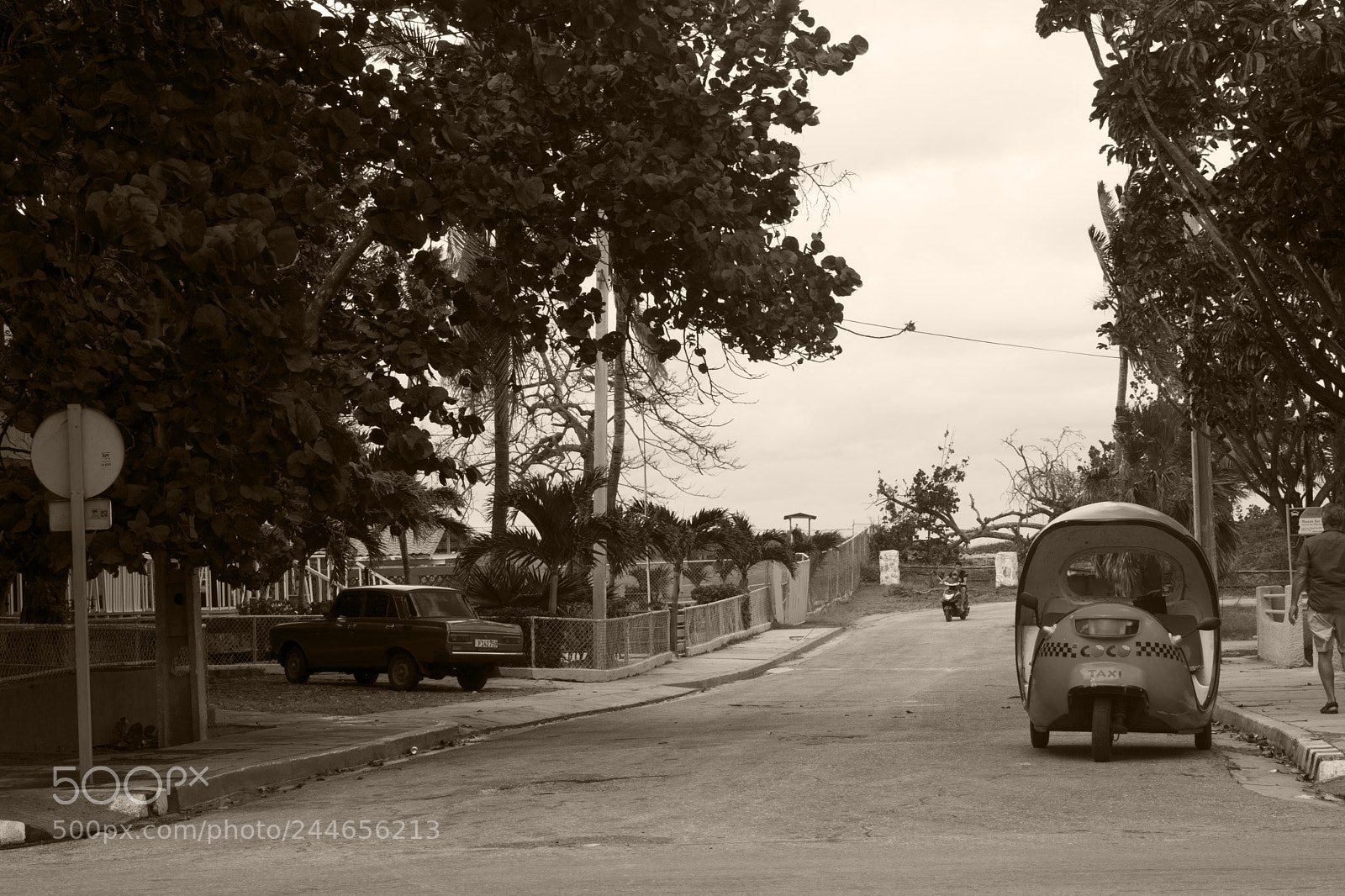 Nikon D3400 sample photo. Sepia photography