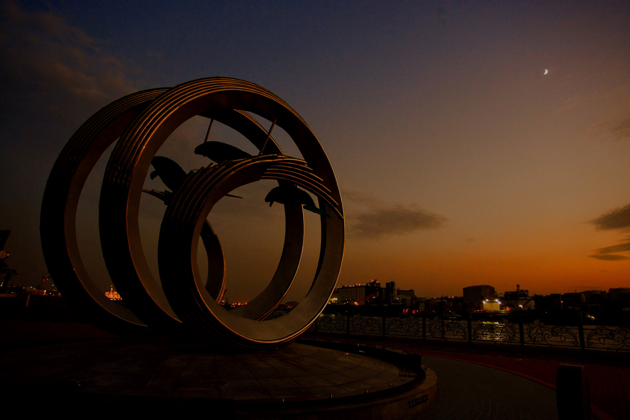 Canon EOS-1D Mark III sample photo. Whales in the circles. photography