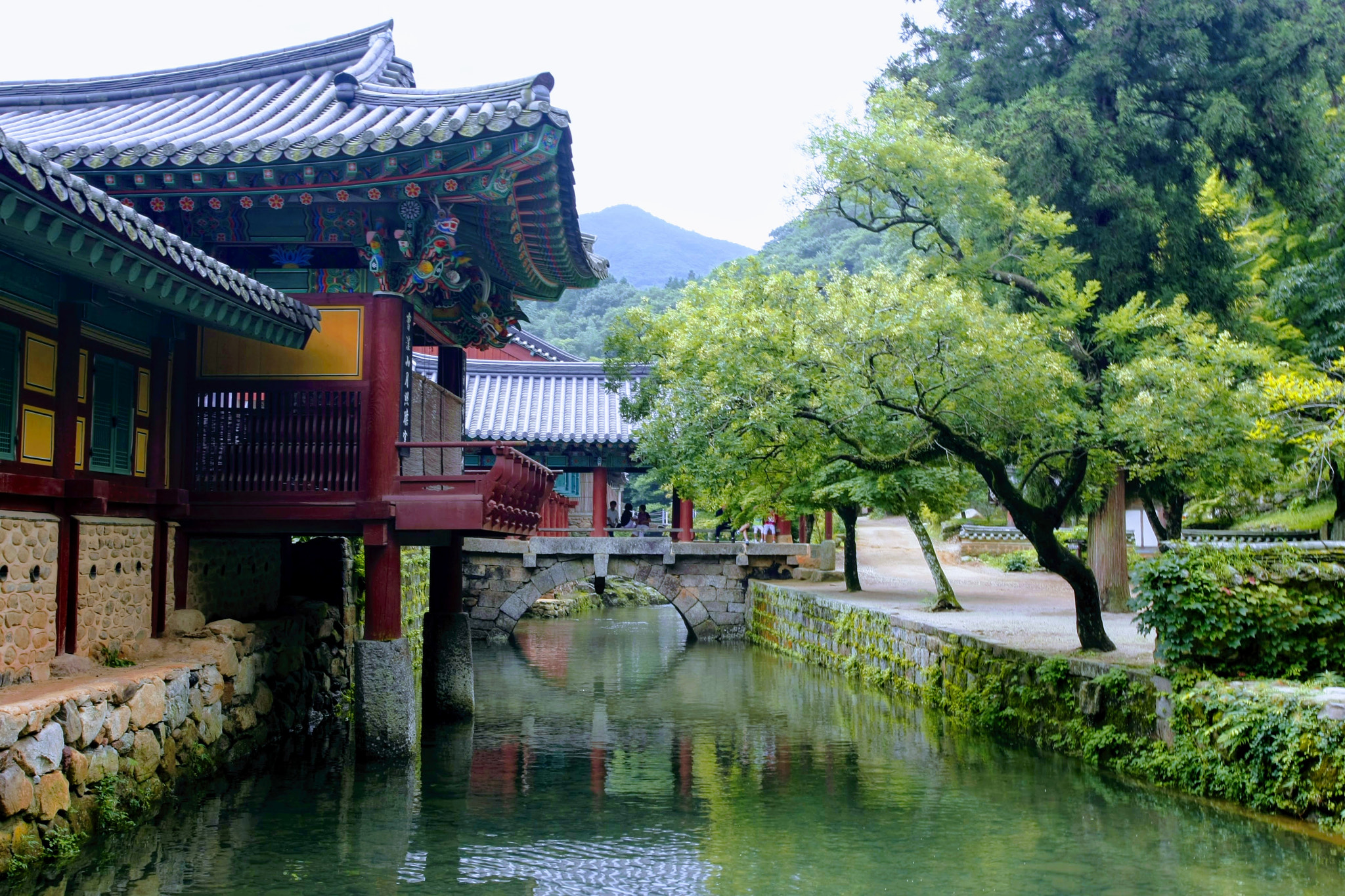 Canon EOS-1D Mark III sample photo. Reflection in summer photography