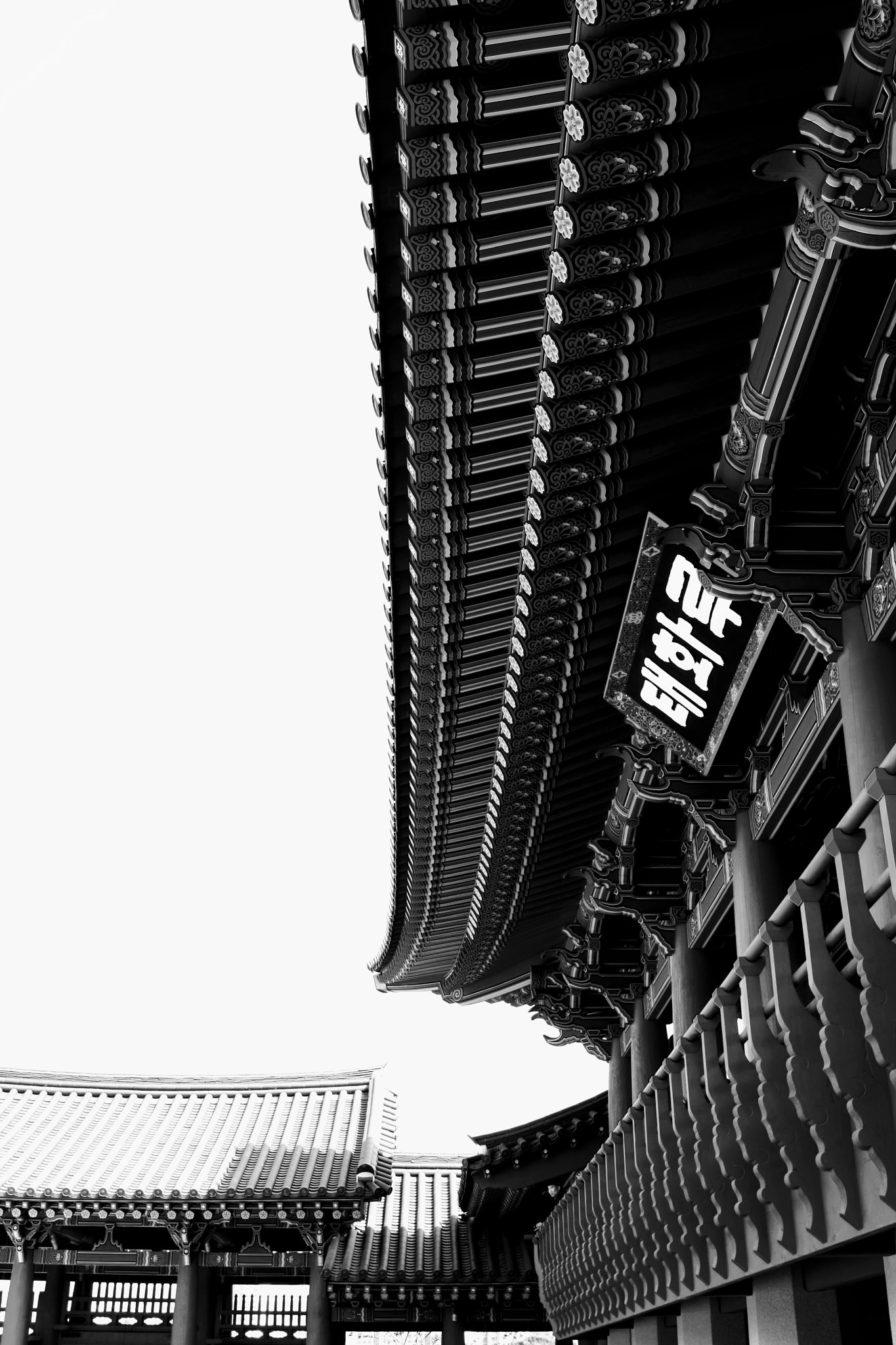 Canon EOS-1D Mark III sample photo. Taehwaroo photography