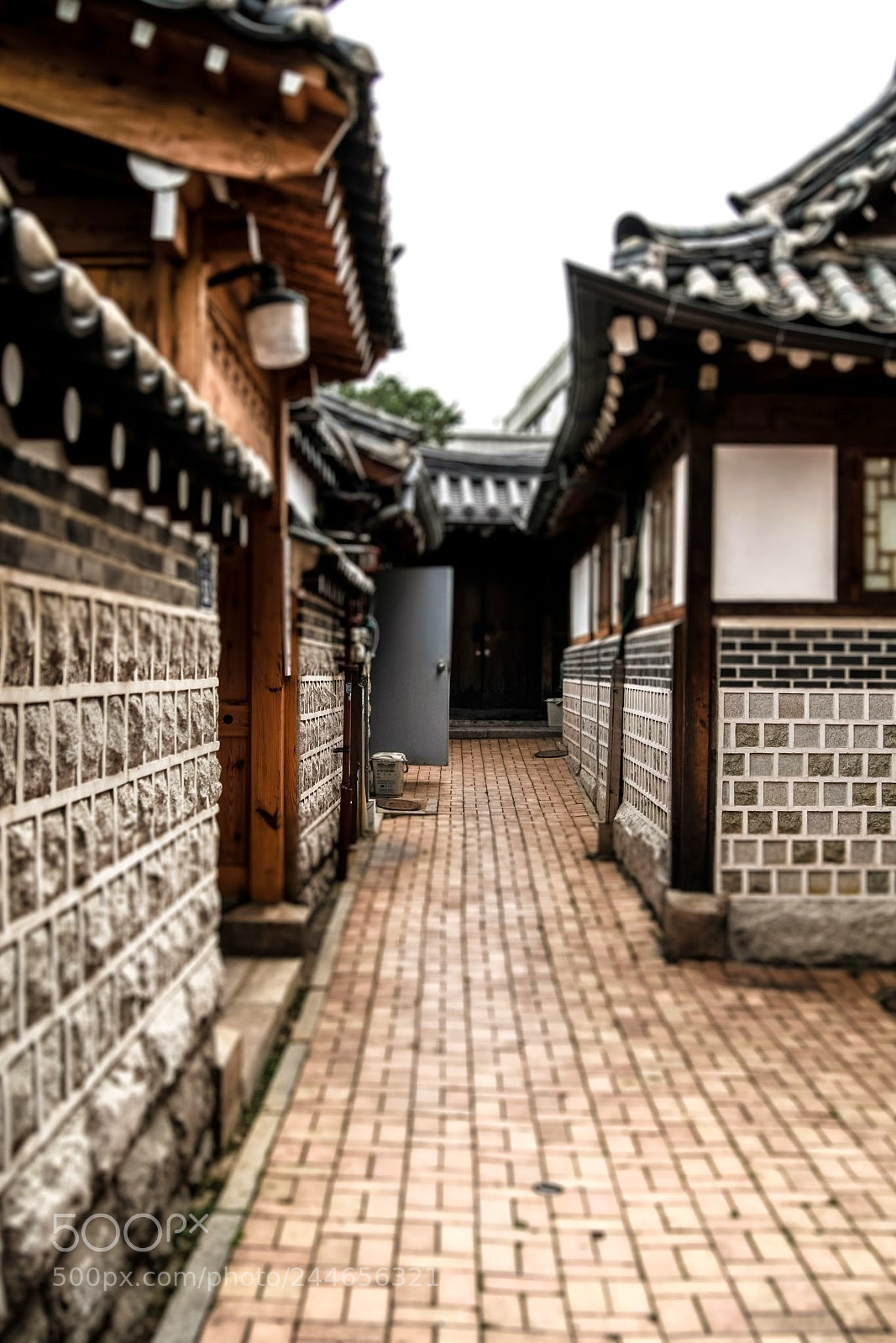 Canon EOS-1D Mark III sample photo. Street of old seoul photography
