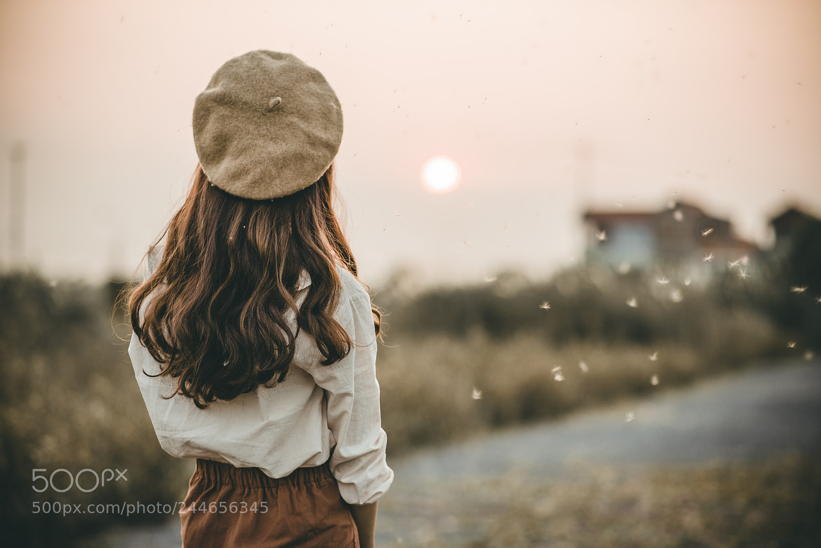 Nikon D610 sample photo. Beo photography