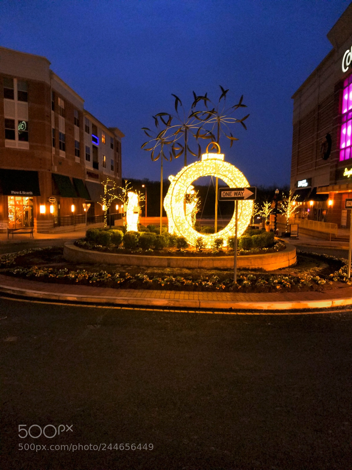 Samsung Galaxy S7 Edge sample photo. Circle photography