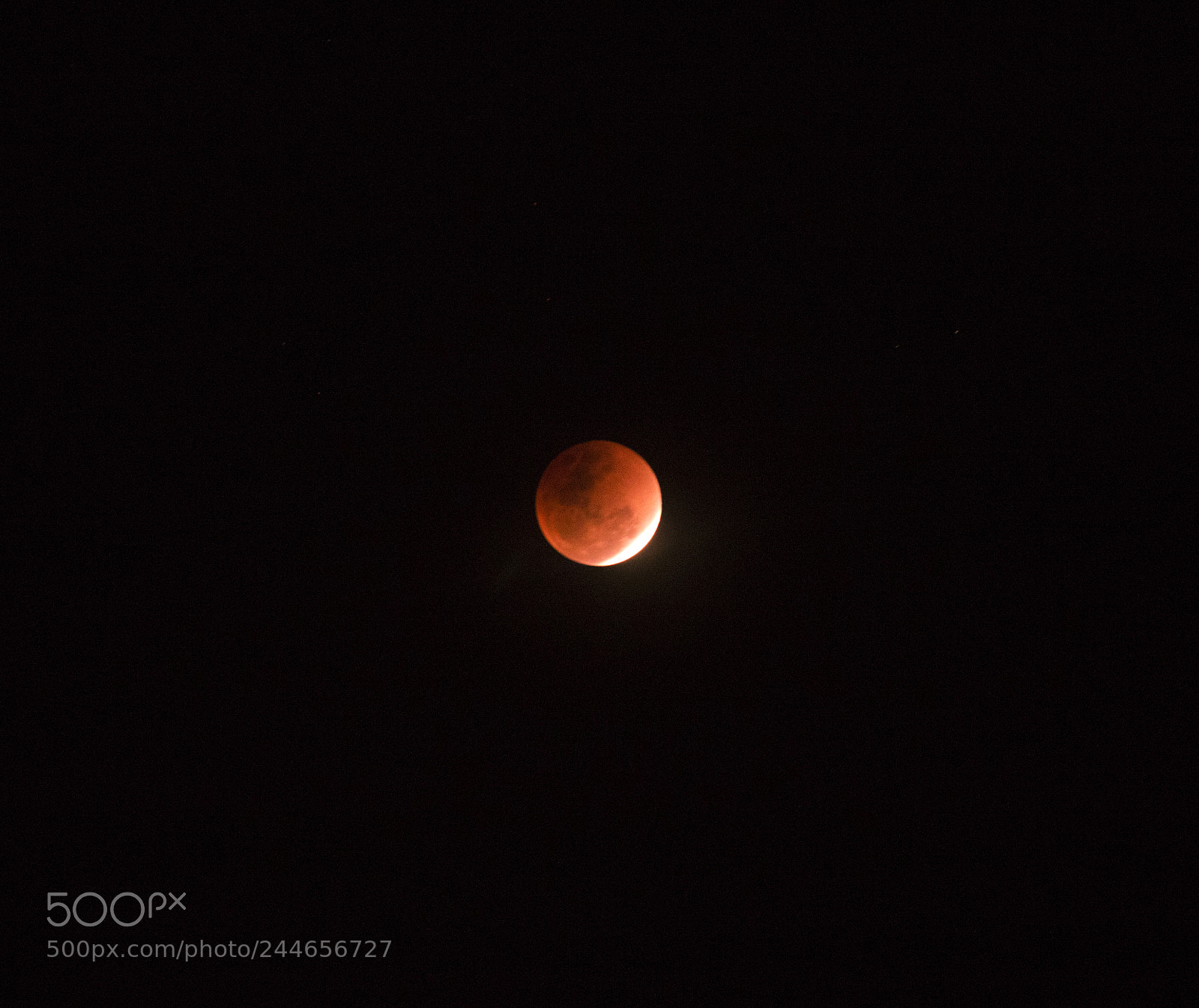 Canon EOS 7D Mark II sample photo. Super blue blood moon photography
