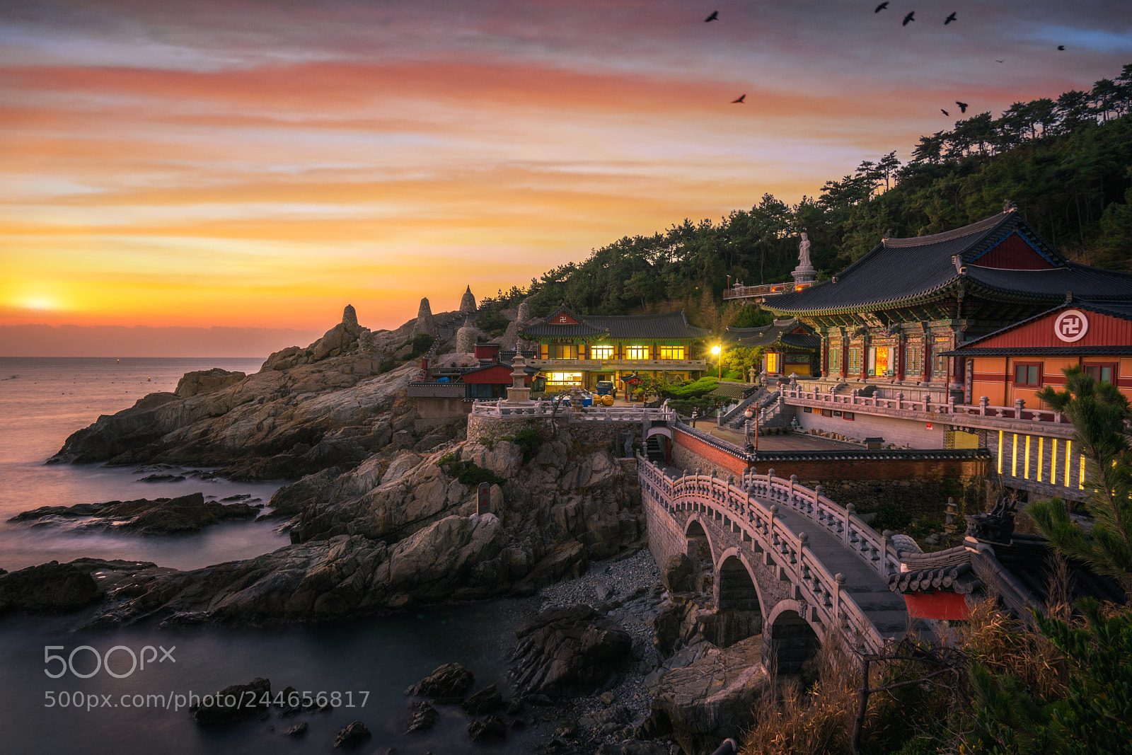 Sony a7R II sample photo. 40024794471.jpg photography