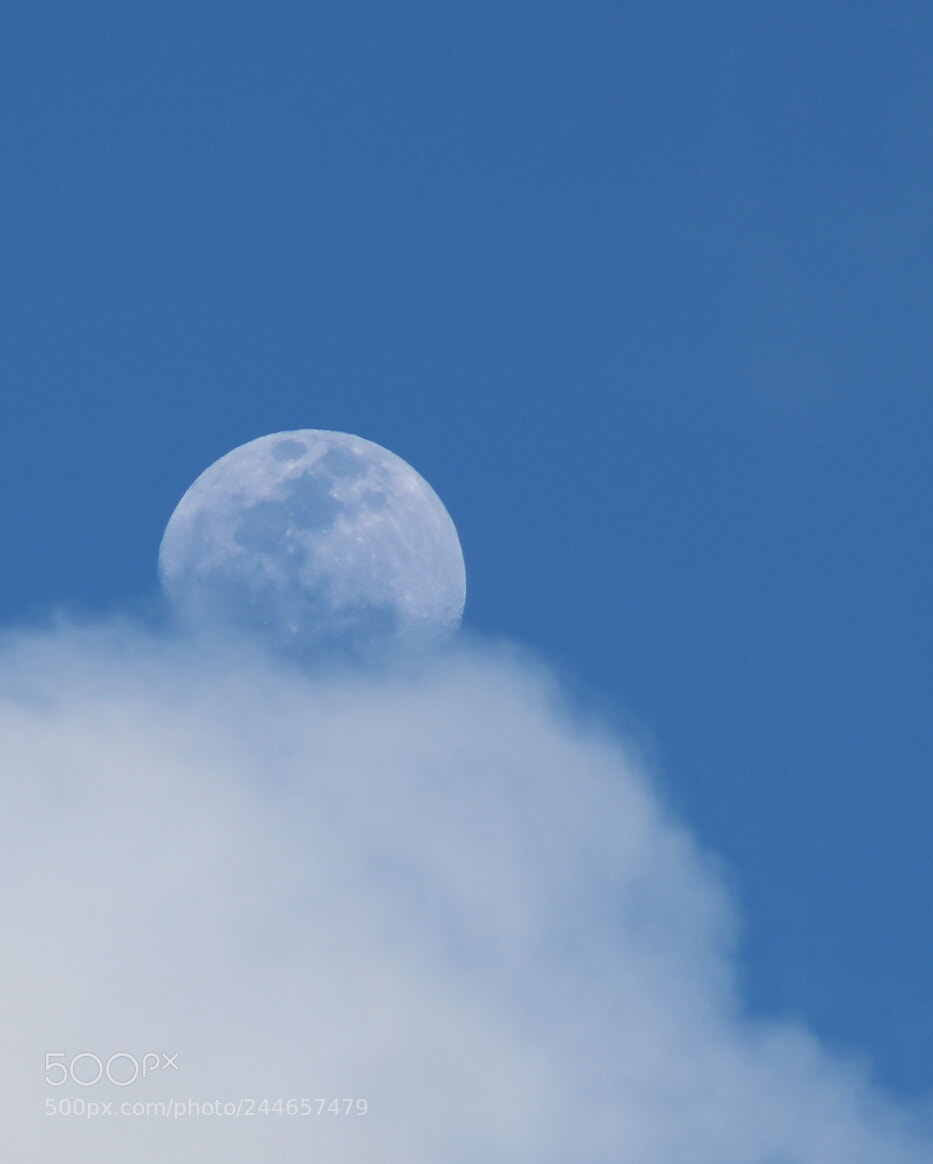 Canon EOS 1300D (EOS Rebel T6 / EOS Kiss X80) sample photo. Moon photography