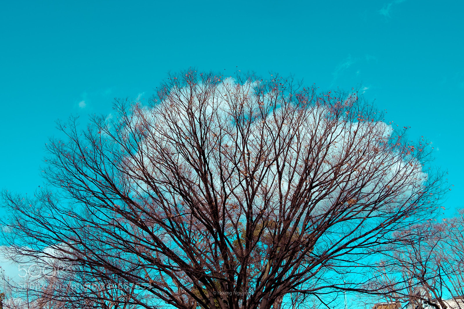 Fujifilm X-T10 sample photo. Untitled photography